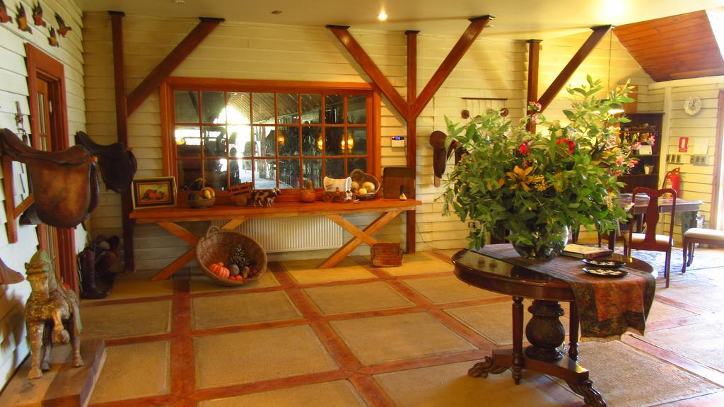 Hotel Boutique La Caballeriza Limache Bagian luar foto